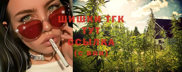 шишки Пестово