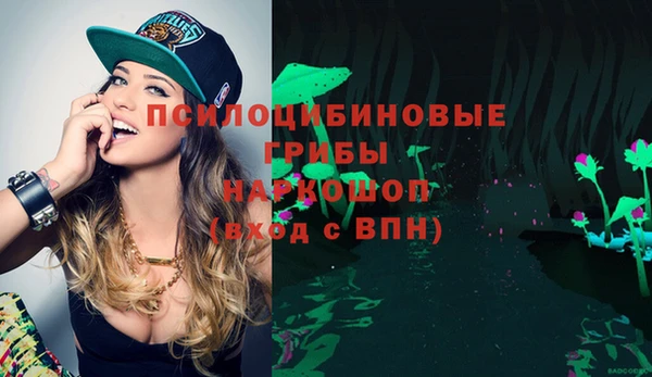 мескалин Переславль-Залесский